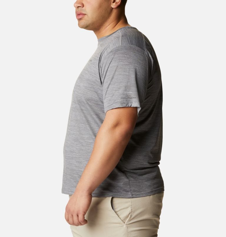 Men's Columbia Alpine Chill Zero Short Sleeve Crew T Shirts Grey | Plus Size CA-W36CA